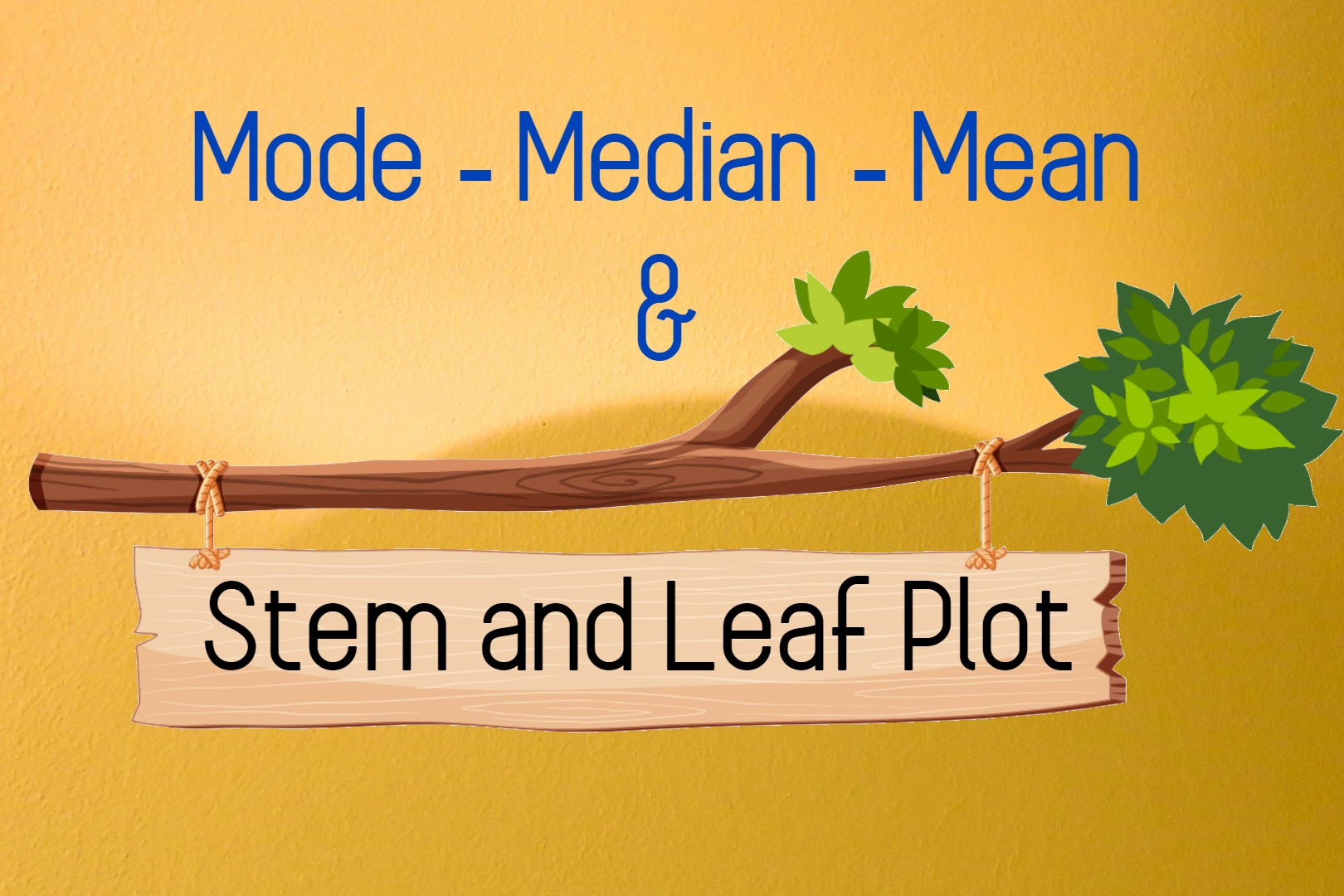 stem and leaf plot
